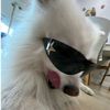 cute_follower3