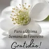 antoniacristiane6