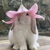khaireenlovely