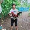 tongheng9956
