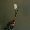 iamtulips94