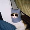 hapvytomato