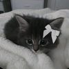 duygu._09