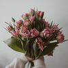 bashayr_d