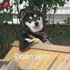 nguyenvanteo53