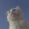 taniahtann_01