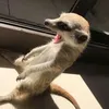 ju.rassicworld