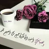 souadchaffai