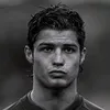 cr798919