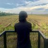 m.zulkifli12