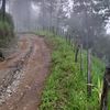 erickpineda2304