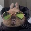 bolinho_666