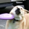 igor7777777777777777777