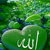 user8512405490281