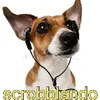 e_noburo