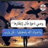 mneytmoulayzein