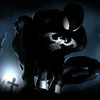 spiderbronha