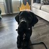princesssk555
