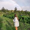summer_11245