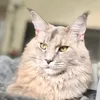 naughtymcnala