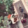 shamma__als