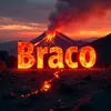 braco9144