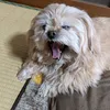 kenjikk5