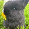 zukoioo