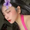 alexa1320012