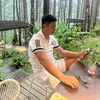 nthattuanhoa