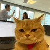 nửa đêm là buồn 🫠