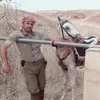 attaamen