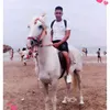 den.ayoub