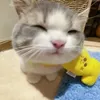 pbthy._