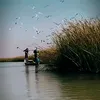 .gnqwer