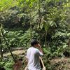 ferry_ferdi15