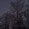 metaphorar11