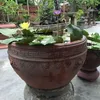 nguyenthedung51