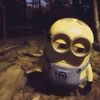 laicigoqeng