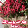 user398191521080