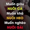 quangtrung0808