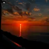 shrimpsea01