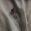 aripinout