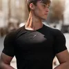 dreamsthetics
