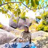 putriynti2