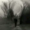 baxgdxvid