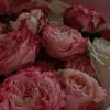 didi_080