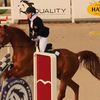 horserider511
