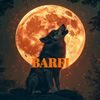 barfi036