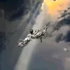 arzm31